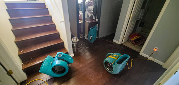 Best Sewage cleanup and water damage restoration  in Rainsville, AL