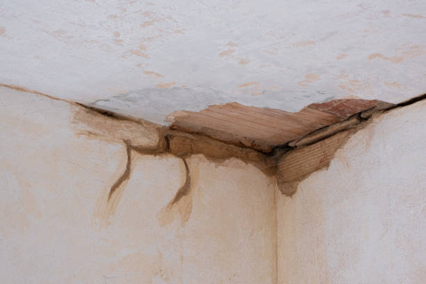 Best Ceiling water damage repair  in Rainsville, AL