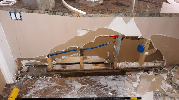 Best 24-hour water damage restoration  in Rainsville, AL