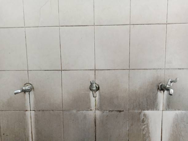 Best 24-hour water damage restoration  in Rainsville, AL