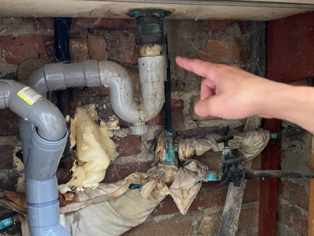 Best Flooded house restoration  in Rainsville, AL